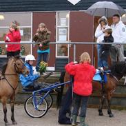 Anden særlig race Jerry Part gl. part