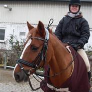 DSP Fruetoftens Lucky. xpart