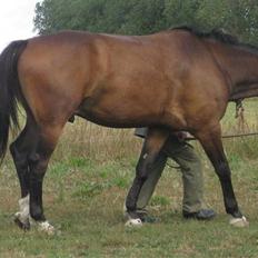 Oldenborg Egelund Milagro