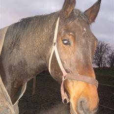 Oldenborg Egelund Milagro