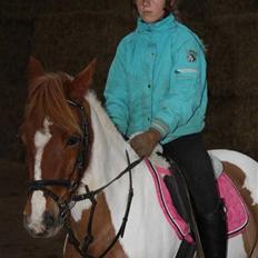 Pinto hokus Pokus  (red, SOLGT)