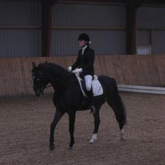 Holstener Campbell  SOLGT