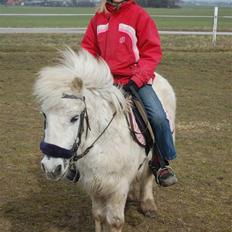 Anden særlig race Laurine