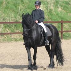 Frieser Strauss (The Black Pearl)