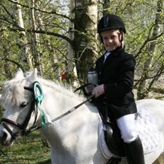 Welsh Pony (sec B) Isabella (SOLGT)