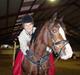 Welsh Pony af Cob-type (sec C) Dorthealyst Leading Star†