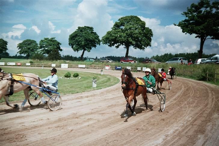 Gotlandsruss Tarpan's Ikon R.I.P - Fra Derby´dagen 24.6.07  billede 3