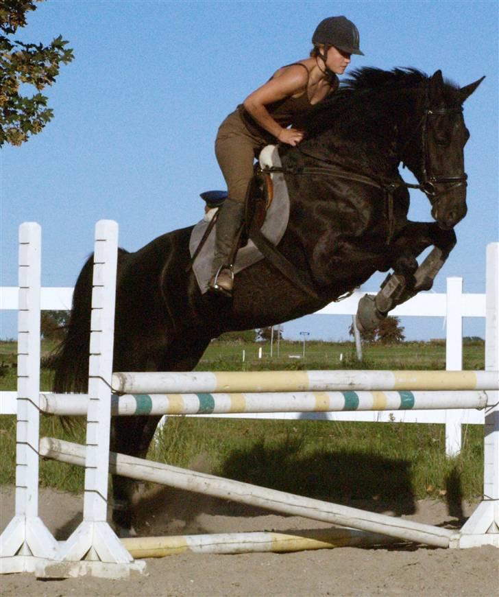 Oldenborg † Cavalcanti (Pony) - Anden gang Trine springer på Pony :) billede 5