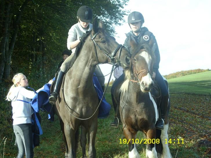 Oldenborg † Cavalcanti (Pony) - Mathilde på Pony og Simone på Ikaros (: billede 12