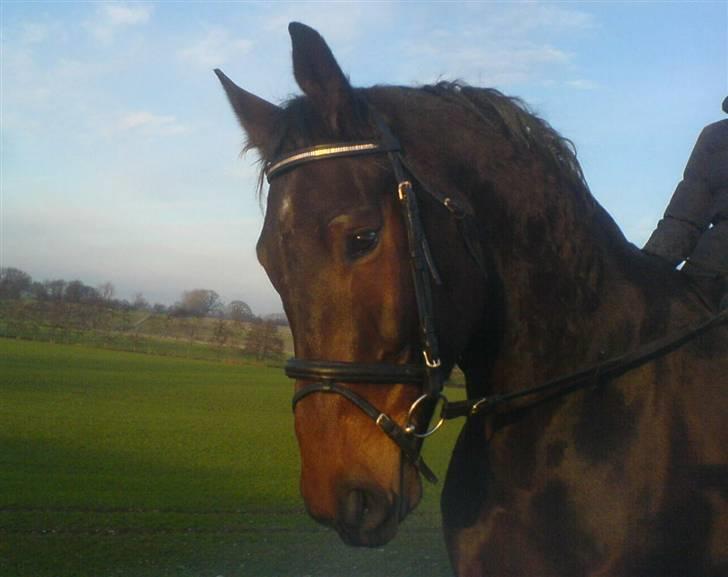 Oldenborg Egelund Milagro - selvom du er væk.. - betyder du stadig mere end noget andet. jeg savner dig hvert sekund, jeg tænker på dig hvert sekund. men jeg ved du aldrig kommer tilbage. billede 5