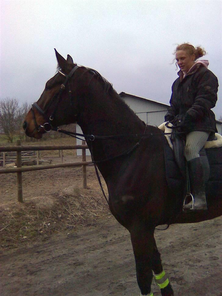 Oldenborg Egelund Milagro - Mit savn til dig er så stort at det ikke kan beskrives!  billede 6