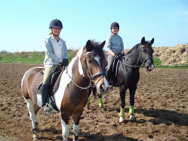 Anden særlig race Horse-Wear's Oktober  - Mille og jeg - 2010. billede 9