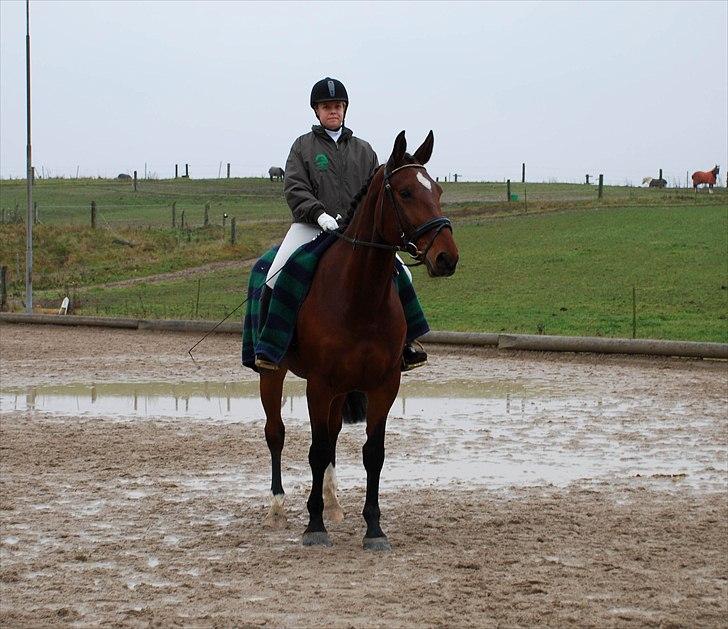 Oldenborg Cornelia - Stævne nov 2010 billede 14