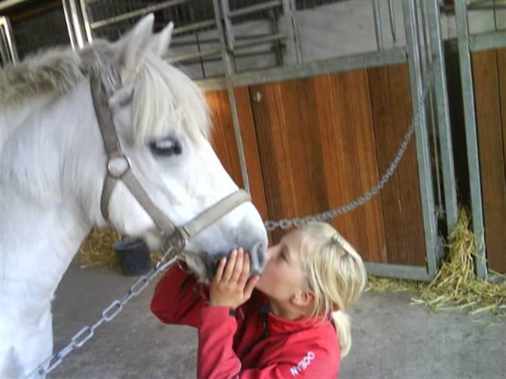 Anden særlig race Laika SOLGT ;( - Vi er så gode til det der!!! billede 7