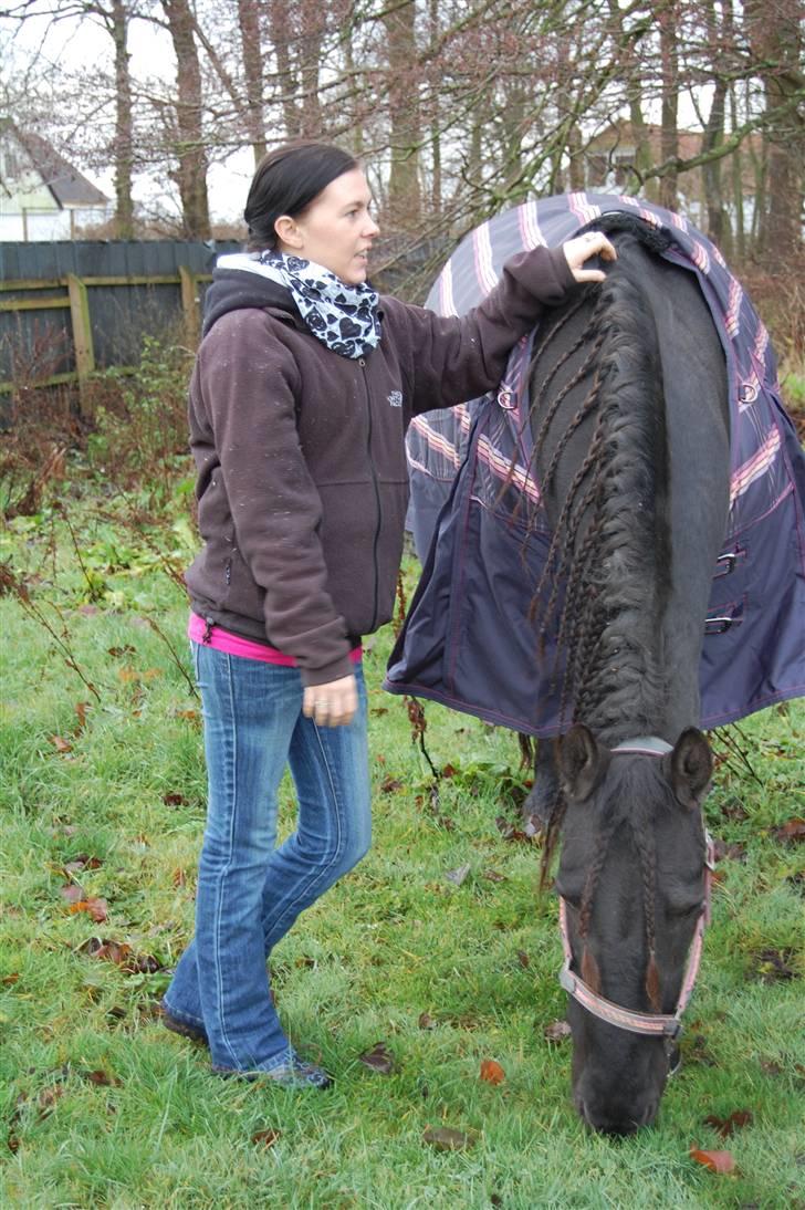 Frieser Femke *solgt :'(* billede 9