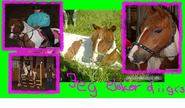 Pinto hokus Pokus  (red, SOLGT) - til dig pokke skat<´333 jegelskerdig billede 1