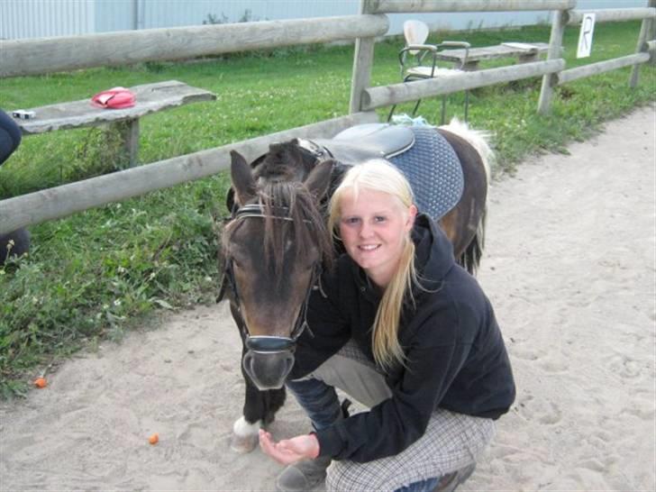 Shetlænder Lille skid (Solgt) - Lille Skid og jeg efter en gang dressur billede 2