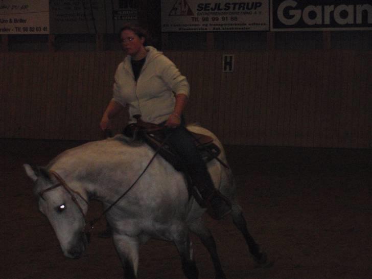 Anden særlig race Casey billede 7