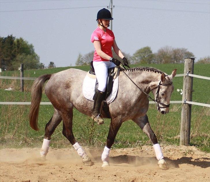 Anden særlig race Zera billede 10