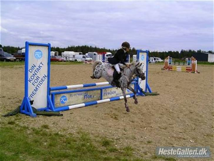 Knabstrupper pippi<33R.I.P. MY ANGEL<3 billede 8