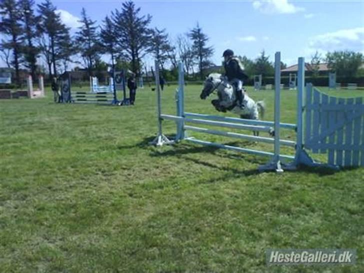 Knabstrupper pippi<33R.I.P. MY ANGEL<3 billede 14