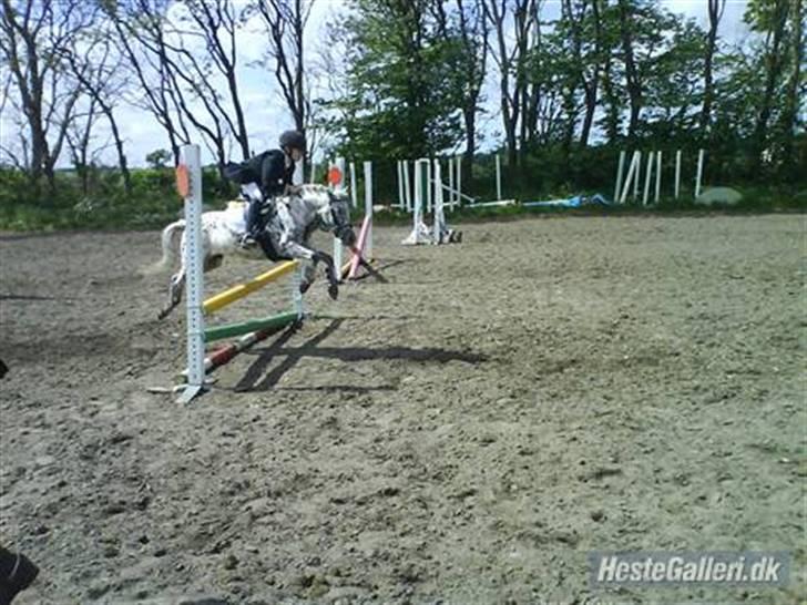 Knabstrupper pippi<33R.I.P. MY ANGEL<3 billede 15