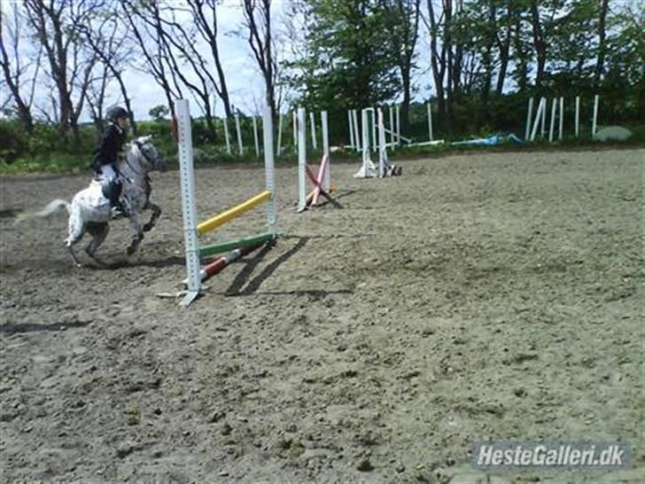 Knabstrupper pippi<33R.I.P. MY ANGEL<3 billede 17