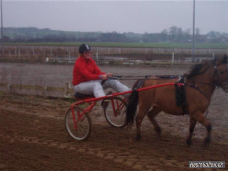 Anden særlig race Jerry Part gl. part - Jerry og mig der kører ;D billede 13