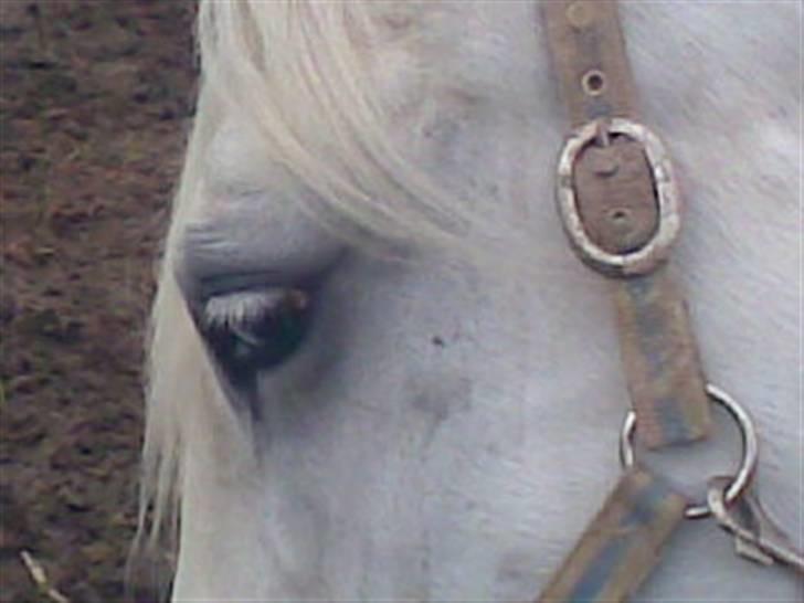 Anden særlig race fantasie - du er såå smuk billede 12