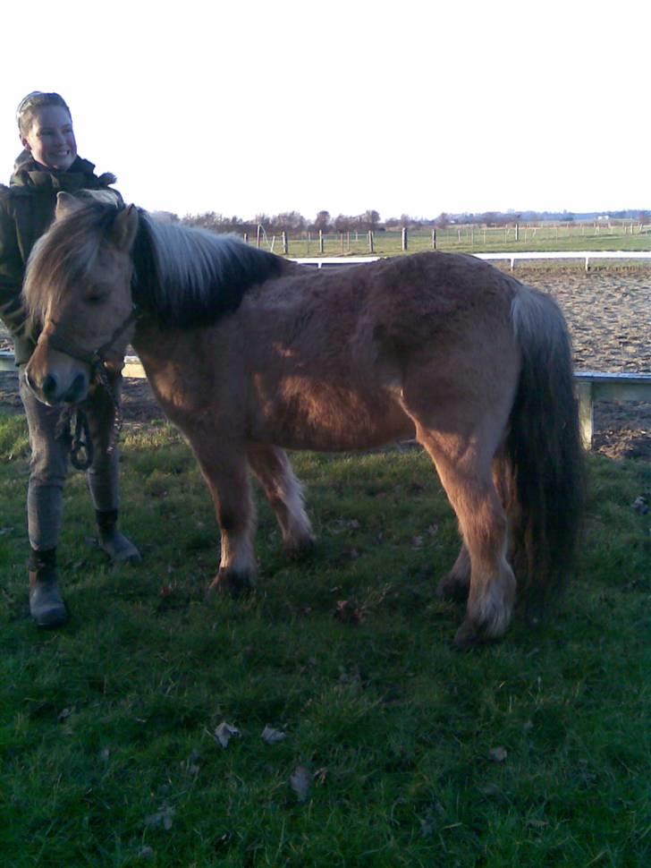 Anden særlig race felix - da han næsten lige var kommet billede 7