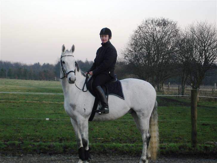 Trakehner Imagine - Så er vi klar til en frisk galop og en tur i skoven. Dec 07 billede 13