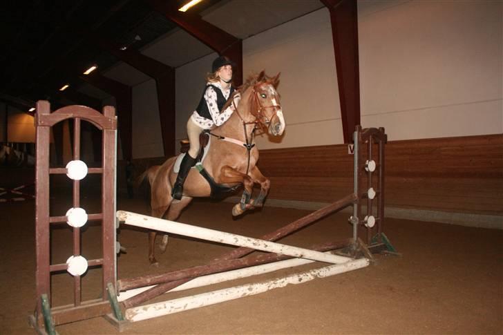 Anden særlig race SWEET CHERRY {b-pony} - 2008 billede 14