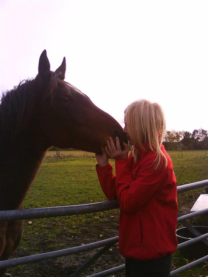 Anden særlig race Mr. Pegasus - AD hun kyssede miig<3 billede 6