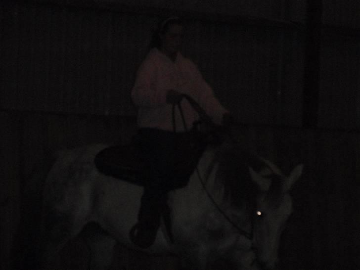 Anden særlig race Casey billede 12