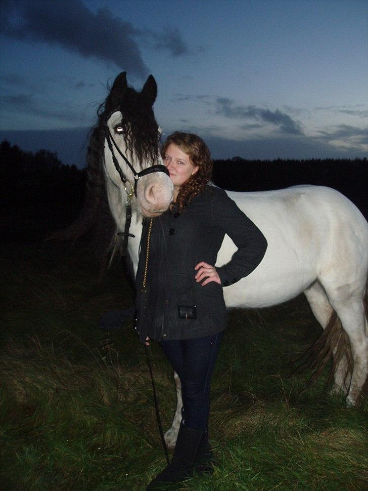 Irish Cob Mac Chass - Dukke og jeg! Verdens bedste dreng <3 billede 1