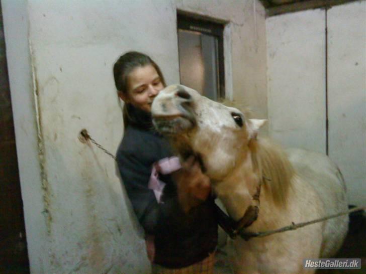 Anden særlig race Stardust - "Uhm, det er dejligt at blive kløet" ;D billede 18