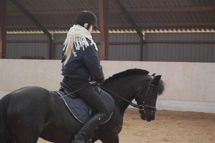 DSP Clements Himalaya *SOLGT* billede 7