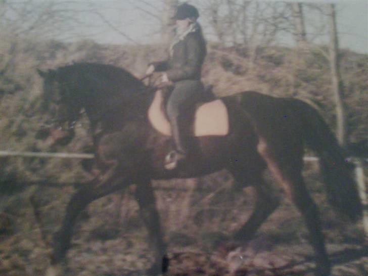 Anden særlig race Sprutnik - Basse og jeg på BØRKs udendørs ride bane billede 7