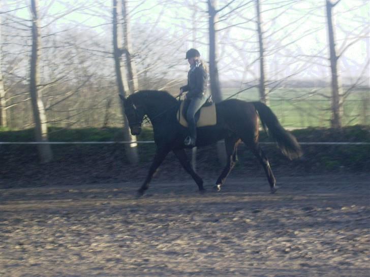 Anden særlig race Sprutnik - Beklager utydeligheden, men det er taget med telefonen :) billede 8