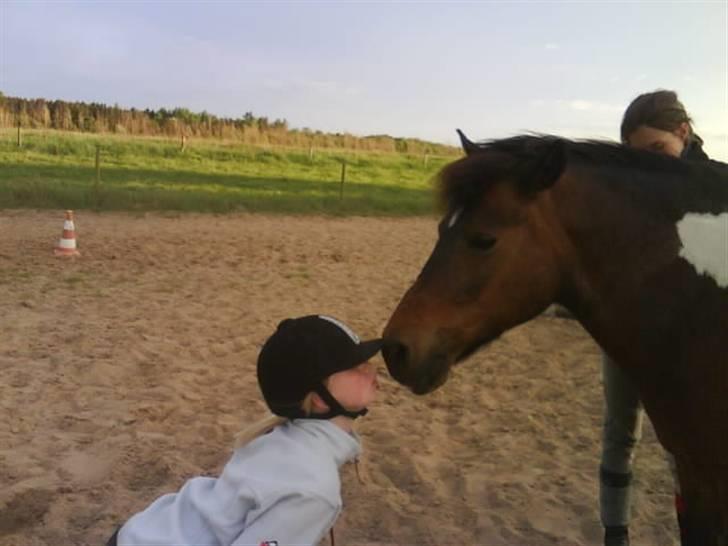 Pinto Next Milton - kys til dig milton billede 2