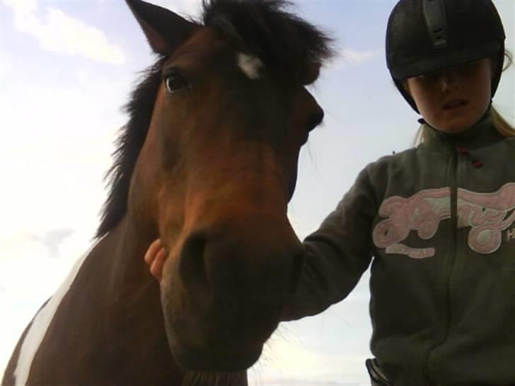 Pinto Next Milton - jaja skal nok gå med vi jeg får mad billede 5