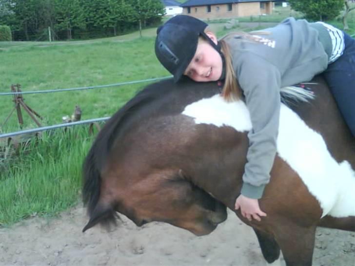 Pinto Next Milton - har du mad Astrid billede 6