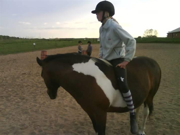 Pinto Next Milton - v er sure meget billede 7