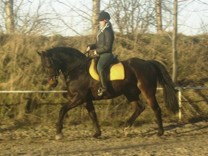 Anden særlig race Sprutnik - Dette kære billede skulle da lige med :) Sprutnik, der som ofte før, folder charmen ud ;) billede 9