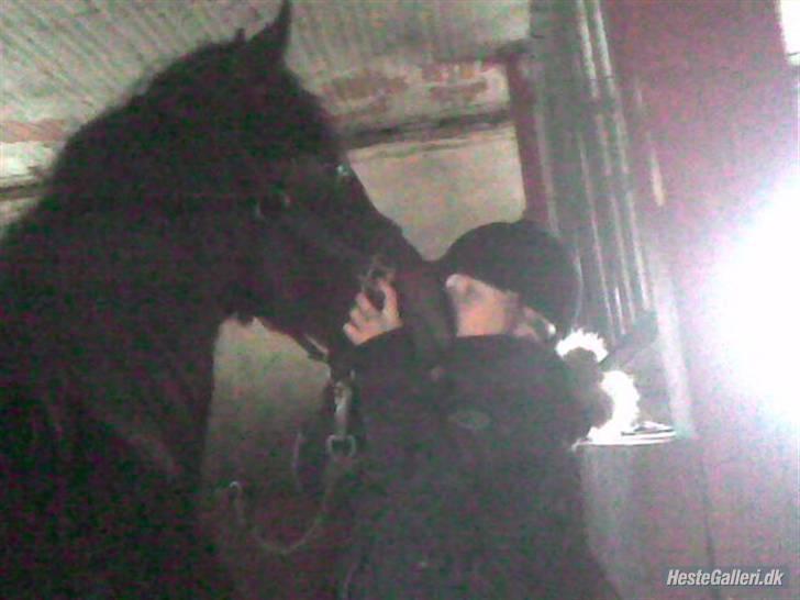 Anden særlig race Mr. Pegasus - her er han et år men sød billede 9