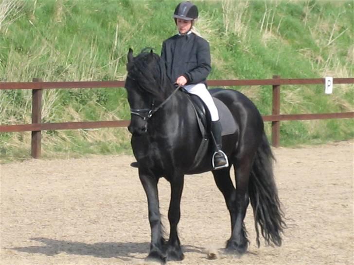 Frieser Strauss (The Black Pearl) billede 1