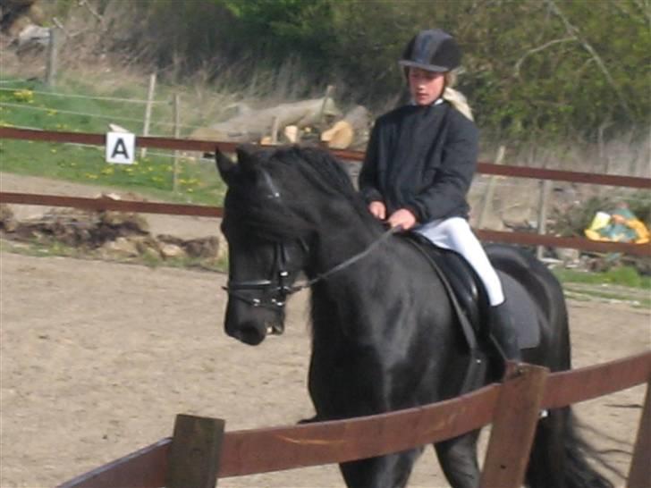 Frieser Strauss (The Black Pearl) billede 2