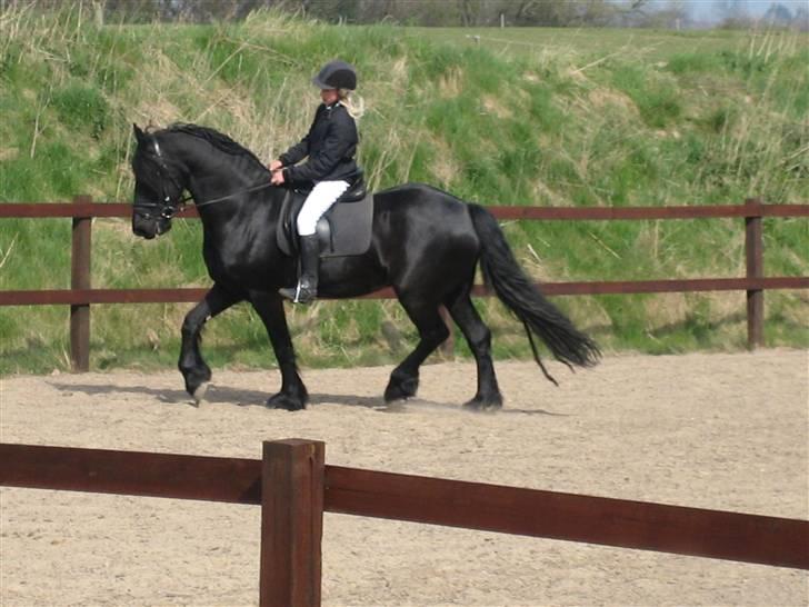 Frieser Strauss (The Black Pearl) billede 3