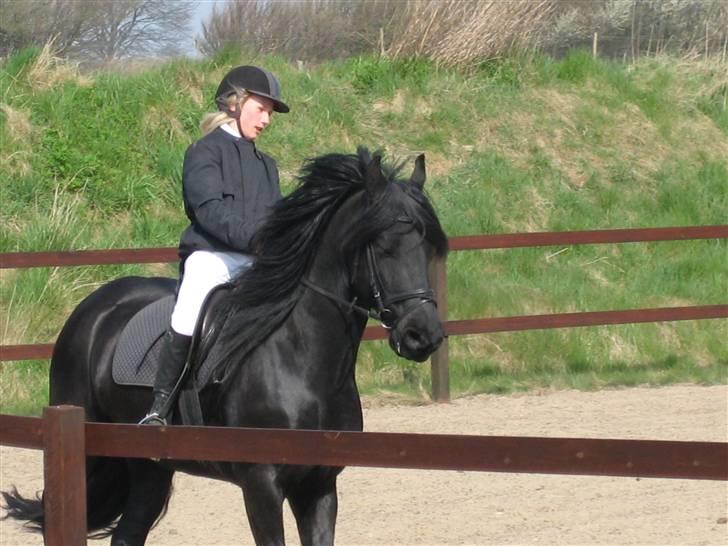 Frieser Strauss (The Black Pearl) billede 4