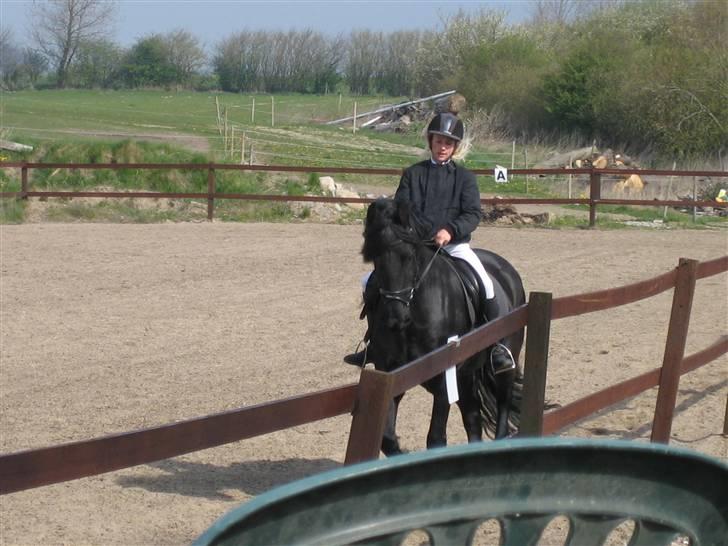 Frieser Strauss (The Black Pearl) billede 5